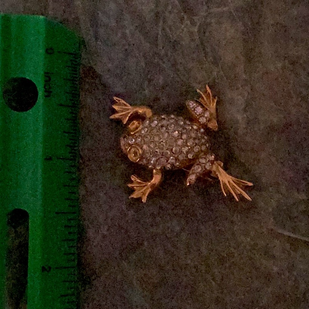 Frog Brooch/Pin - Picture 6 of 6